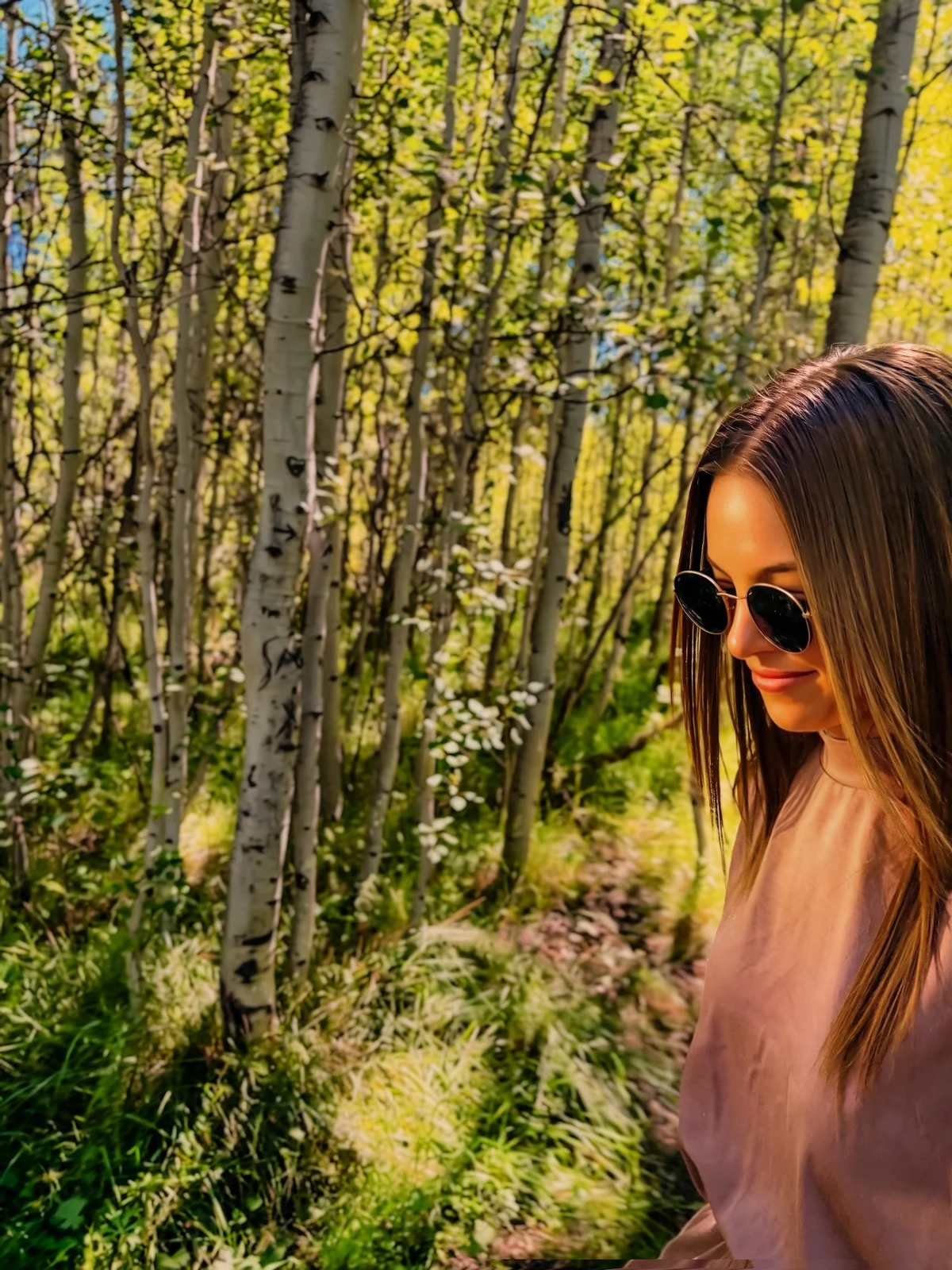 Among the aspens.