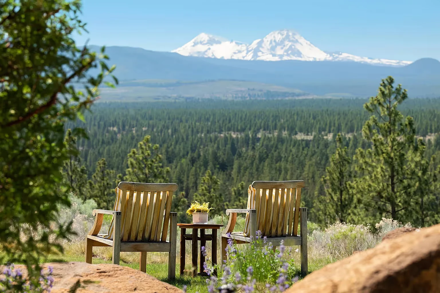 Mushroom Retreat for Women